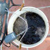 compost-tea چای کمپوست
