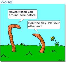 Worms Joke